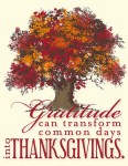 Thanksgiving gratitude